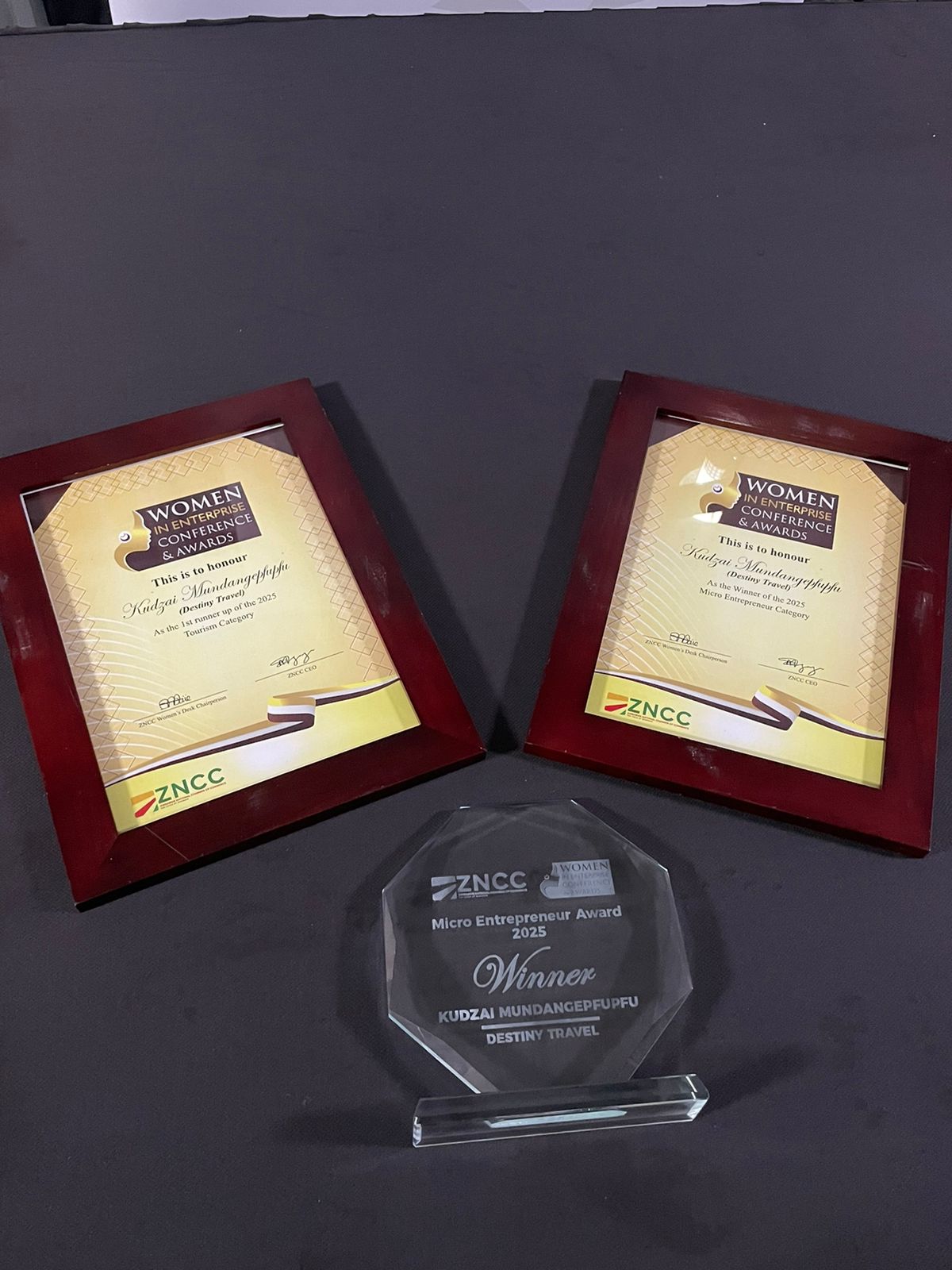 Women in Enterprise Award